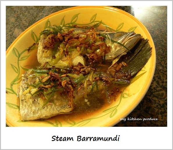Steam Baramundi Steam Baramundi