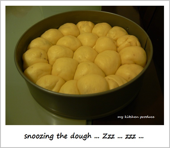 Roti Sobek - snoozing the dough ... Zzz ... zzz ...