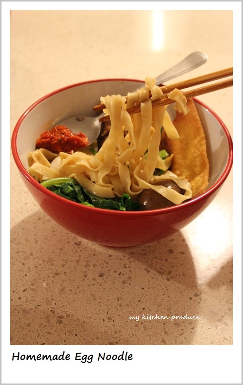 Homemade Egg Noodle
